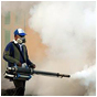 Pest Control